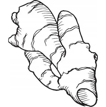 Vůně do bytu Alteya Organics Zázvorový Olej 100% Bio Alteya 5 ml