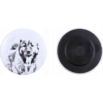 Obraz Kavkazský pastevecký pes - magnet s psím mazlíčkem, extra lehká, silná magnet