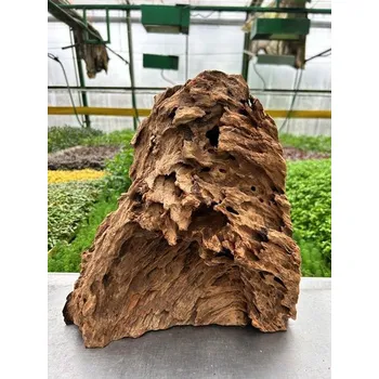 Dekorace do akvária Kořen Mangrove L č.3