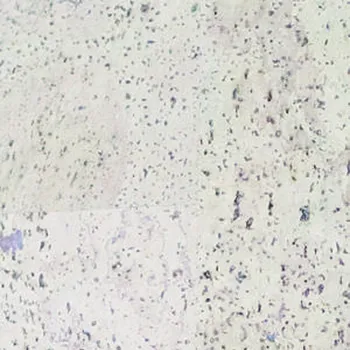 korkové podlahy Korková plovoucí podlaha Corkline Country Crema HRN