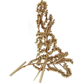 Canella special natural, 20 ks