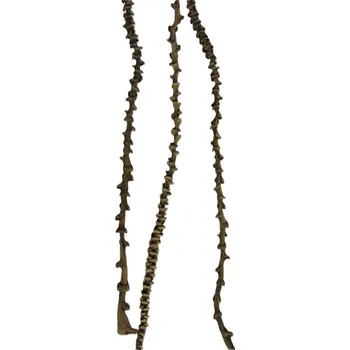 Banana stem 60 -80 cm