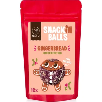 Sušená potravina NATU SNACKin Balls Gingerbread 156g