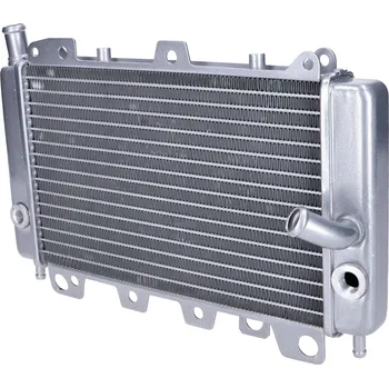 Chlazení pro motocykl OEM Standard Chladič pro Gilera Runner, Piaggio Beverly, X9 54656