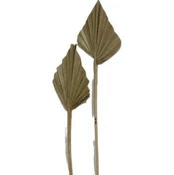 Sušený palmový list, Palm spear mini natural, 30 ks