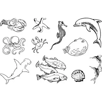 Dětské razítko Gelová razítka- Podmořský svět - CS-6_7303