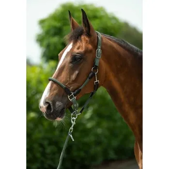 Ohlávka HKM Carlotta khaki FULL