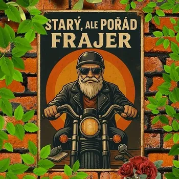 Plechová cedule 2D nástěnná vintage cedule, motiv STARÝ ALE POŘÁD FRAJER