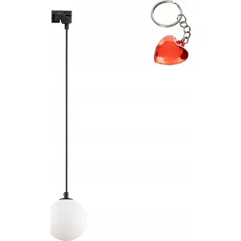 IP kamera Lištový reflektor TK-Lighting 1 x 6 W 155 lm