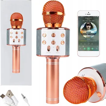 Mikrofon Bezdrátový karaoke mikrofon Stator Bluetooth U730R