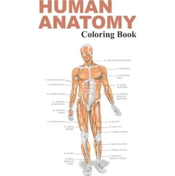 Cizojazyčná kniha Human Anatomy Coloring Book: The Anatomy Coloring Book (Fk Publishing)(Brožovaná)