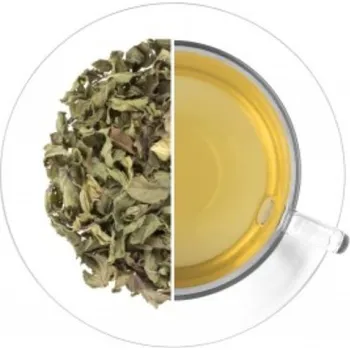 Čaj Oxalis Lékorka 50g