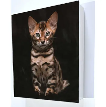 Železářství Bílá skříňka na klíče s poličkou a obrázkem. Kočka kotě koťátko s koťátkem