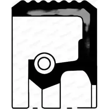 Vačková hřídel Payen NF847 Gufero hřídele, vačkový hřídel