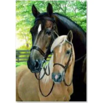 Obraz DIAMANTOVÁ VÝŠIVKA MOZAIKA - OBRAZ KONĚ 30X40 CM