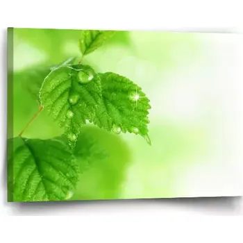 Obraz Sablio Obraz Listy 2 - 60x40 cm
