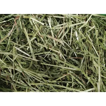 Krmivo pro hlodavce Luční seno 500 g Zvířecí Seník Bylinkové