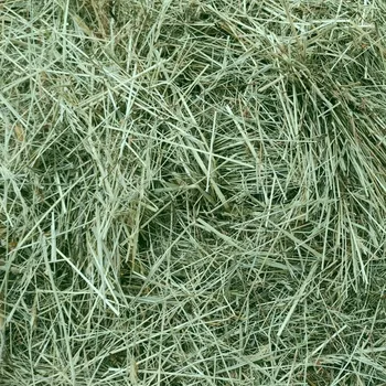 Krmivo pro hlodavce Luční seno Royal 1 kg přírodní bez cukru