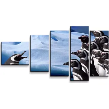 Obraz Sablio Obraz - 5-dílný Tučňáci - 100x60 cm
