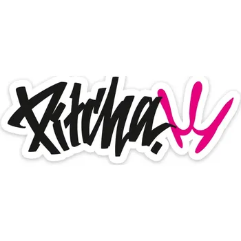 Polep vozidla PITCHA nálepka LOGOPUSSY blackpink