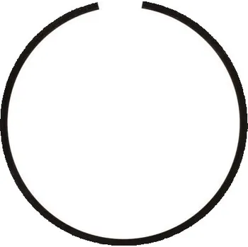 Zajišťovací kroužek koše spojky RMS 100300533