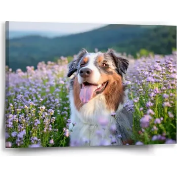 Obraz Sablio Obraz na plátně z vlastní fotografie: 40x30 cm