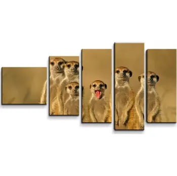 Obraz Sablio Obraz - 5-dílný Surikaty - 100x60 cm