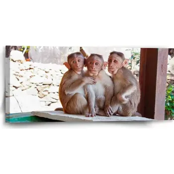 Obraz Sablio Obraz Opičky - 110x50 cm