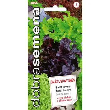 Semeno Dobrá semena Salát listový směs 0,7g