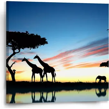 Obraz Sablio Obraz Sahara - 50x50 cm