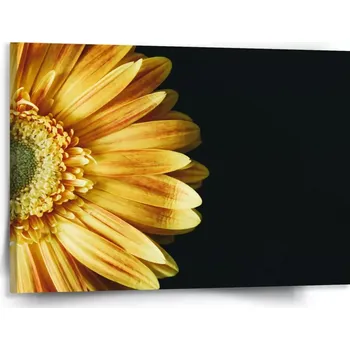 Obraz Sablio Obraz žlutá gerbera - 150x110 cm