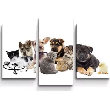 Obraz Sablio Obraz - 3-dílný Mláďátka 2 - 75x50 cm