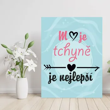 Plechová cedule Sablio Dárková cedulka Moje tchyně je nejlepší: 30x40 cm