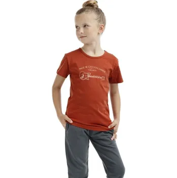 Pánské tričko Bushman tričko Guitarra K terracotta 152