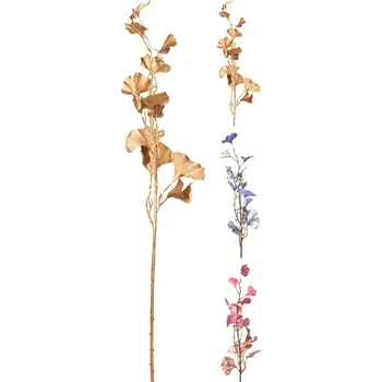 KOOPMAN Ohlávka z jinanu dvoulaločného, mix/1 ks