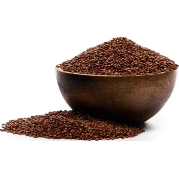 Potravina QUINOA ČERVENÁ - GASTRO balení 5000 g - 5 kg GRIZLY