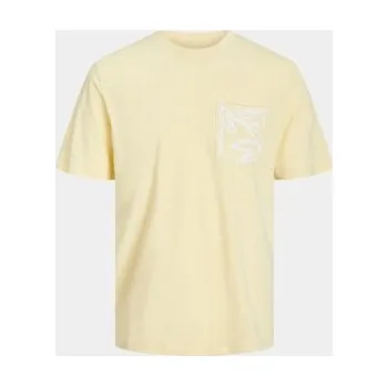 Pánská móda Pánské Pánské tričko kulatý výstřihem Jack&Jones velikost L