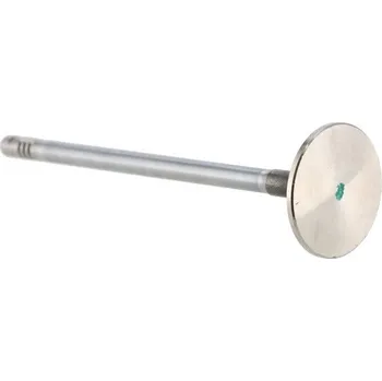 Motor automobilu Výfukový ventil 504238928