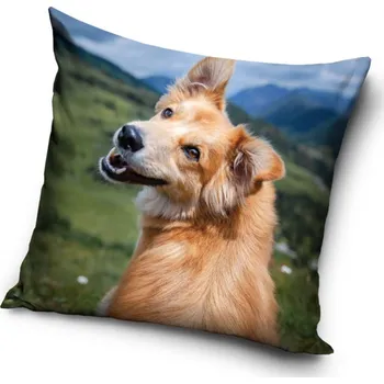 Bytový textil Dekorační polštářek Pejsek v horách