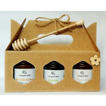 Dárkový potravinový koš DEN UČITELŮ dárkový koš sada medů 3x250g + naběračka DÁREK