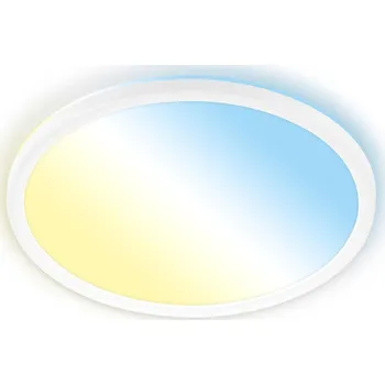 BRILONER Tava A svítidlo LED panel pr.29,3 cm - 11W, 2400lm, energetická třída A, stmívatelné, CCT, bílé 3883016