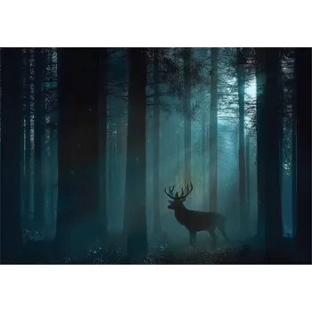 Fototapeta FOTOTAPETA LES JELEN ZVÍŘATA PŘÍRODA NA ZEĎ LOŽNICE OBÝVACÍ POKOJ 150x105