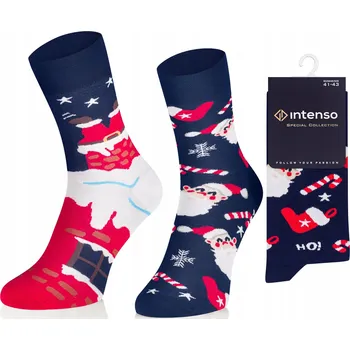 Pánské oblečení Ponožky Intenso 1887_S16 vícebarevné velikost 44-46