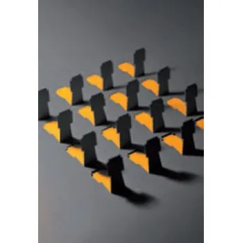 Slezský román - Petr Čichoň