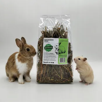 Krmivo pro hlodavce Třezalka nať přírodní bylinky pro králíka hlodavce PAMLSEK 100G