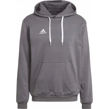 Pánská mikina Mikina adidas EntRADA 22 Hoody HB0578 šedá M