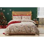 Zimní Povlečení mikroplyš RIGON