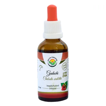 Přírodní produkt Organic India GUDUCHI - CHEBULE SRDČITÁ - AMRITA bylinné kapsle 60 ks SALVIA PARADISE