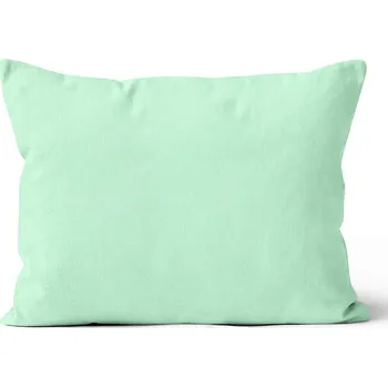 Polštář Mikroplyšový povlak na polštář 50x70 cm Mentolový