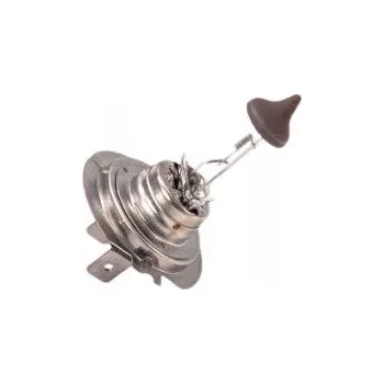 Autožárovka Narva 55 W 483393000